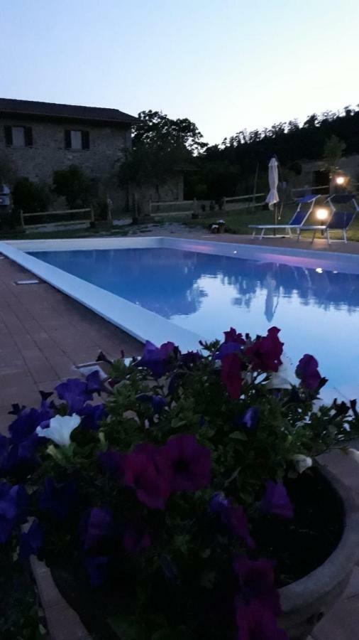 Agriturismo Vista Sole Villa Mercatale  Exterior photo